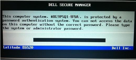 Dell latitude 1f5a bios password